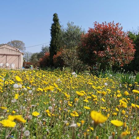 Maison De Vacances L'Hote Champetre Campagne Arlesienne מראה חיצוני תמונה