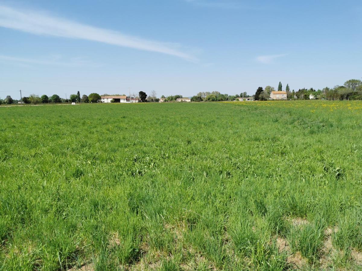 Maison De Vacances L'Hote Champetre Campagne Arlesienne מראה חיצוני תמונה